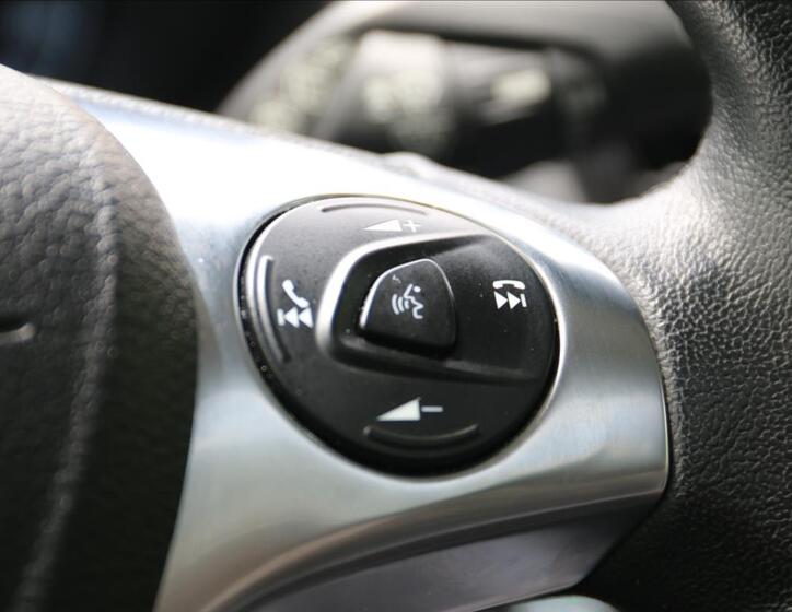 Ford Tourneo Connect 31