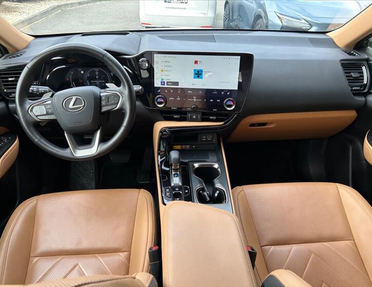 Lexus NX 350h 10
