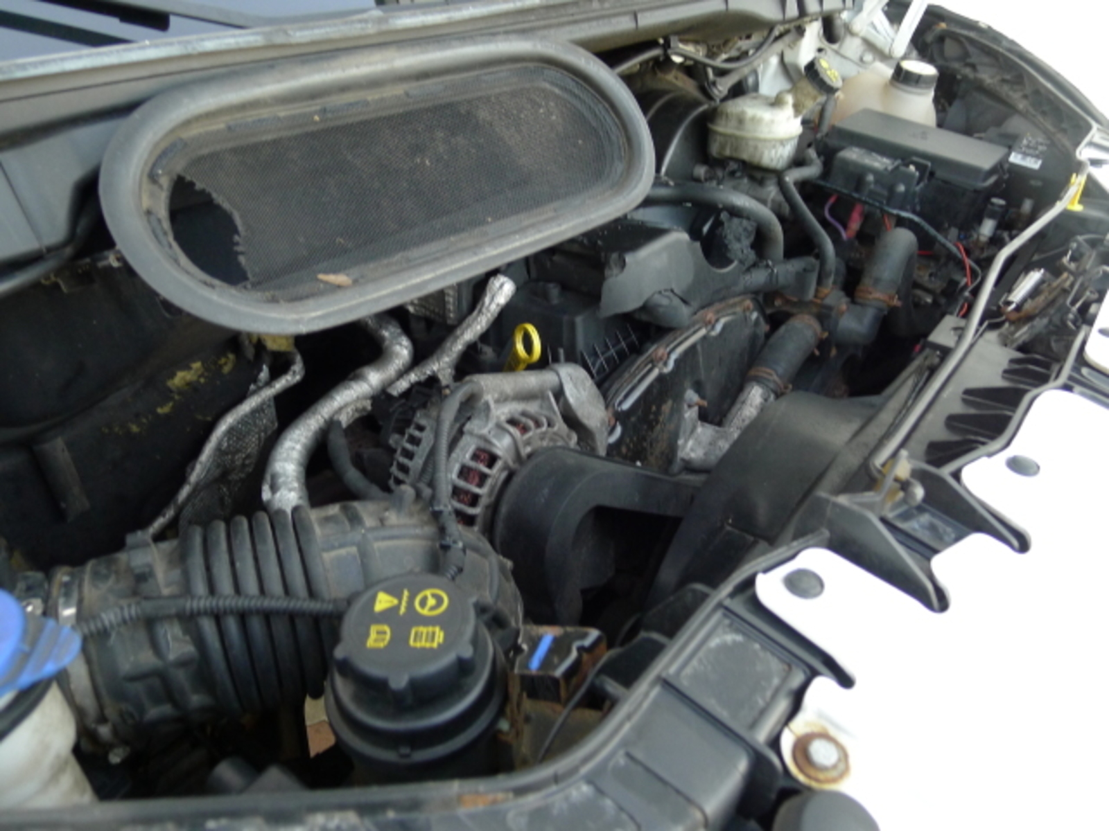 Ford Transit 21