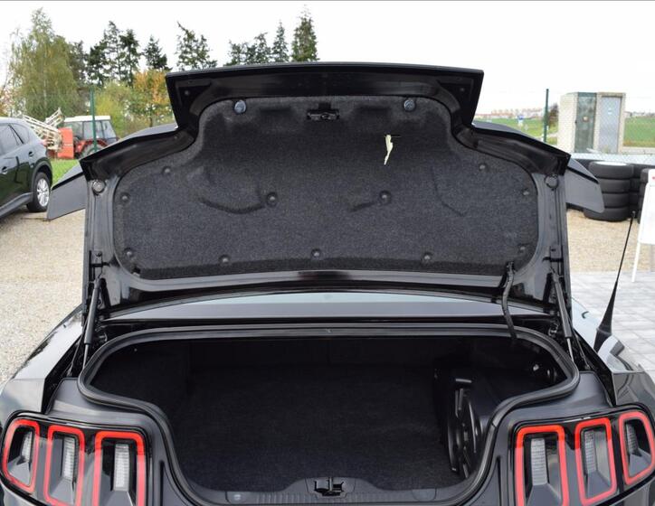 Ford Mustang 21