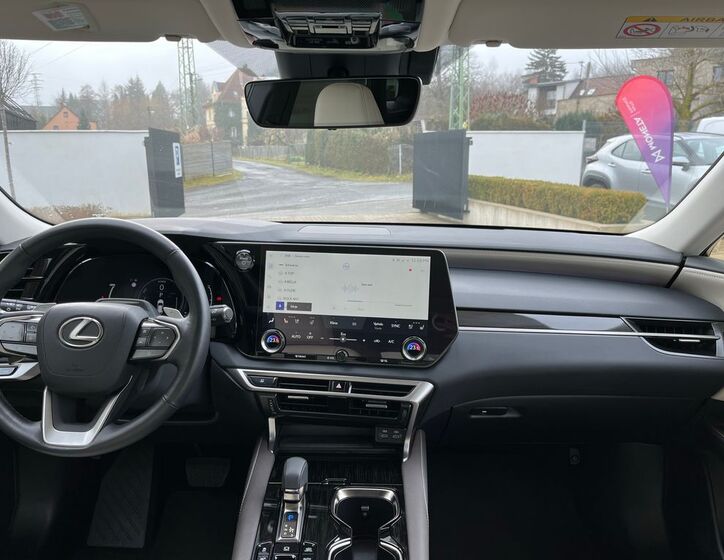 Lexus RX 450 19