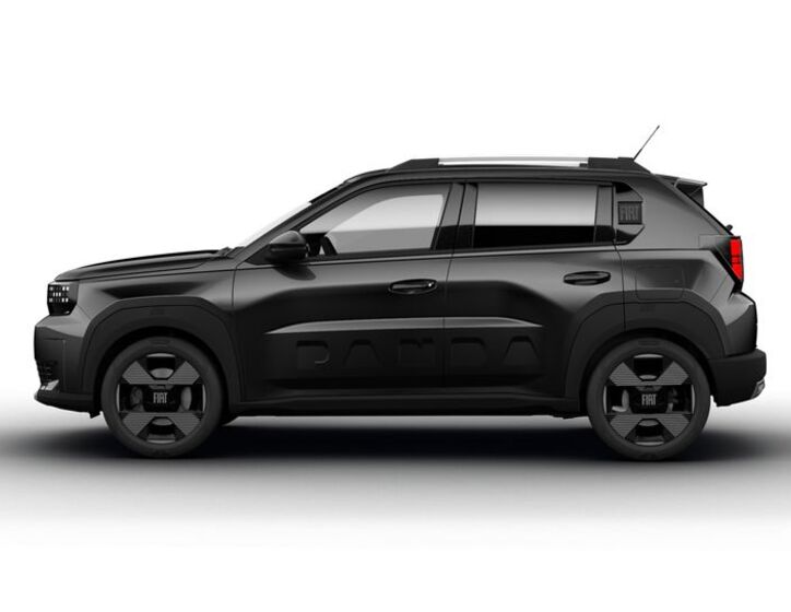 Fiat Ostatní 3