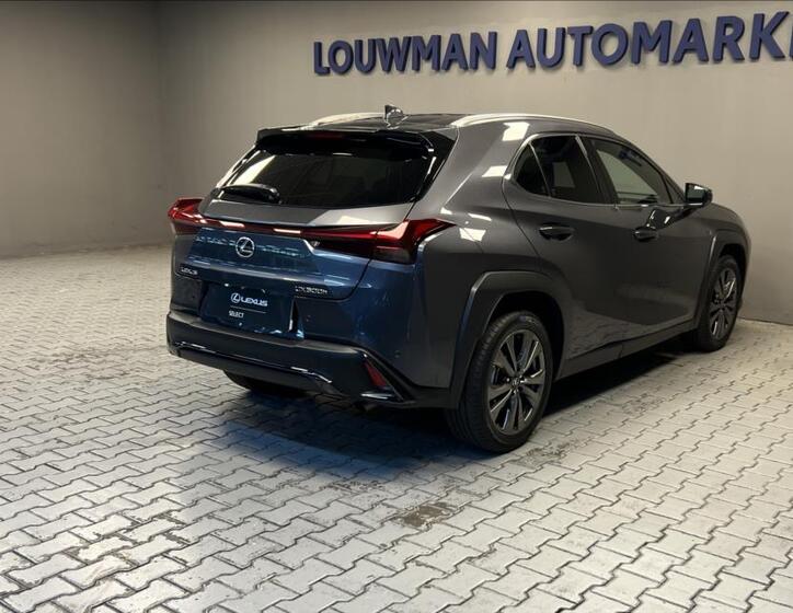 Lexus UX 300h 2