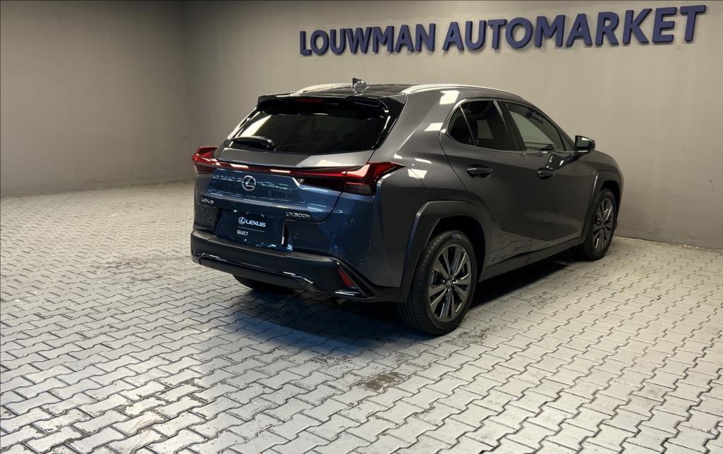 Lexus UX 300h