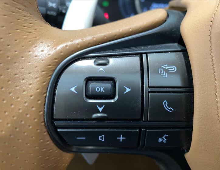 Lexus LC 500 19