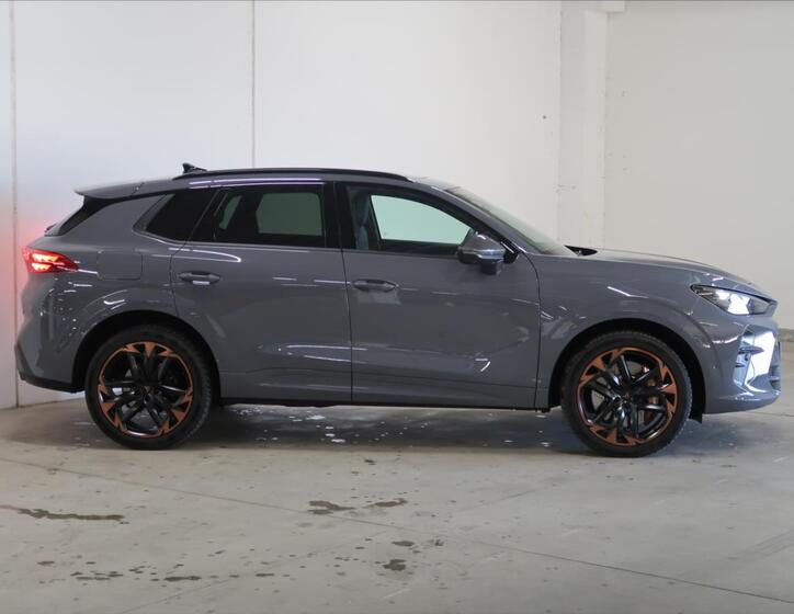 Cupra Terramar 6