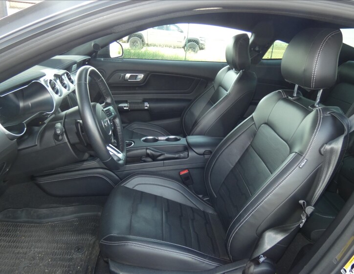Ford Mustang 13