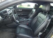 Ford Mustang 13