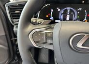 Lexus NX 450h plus 13