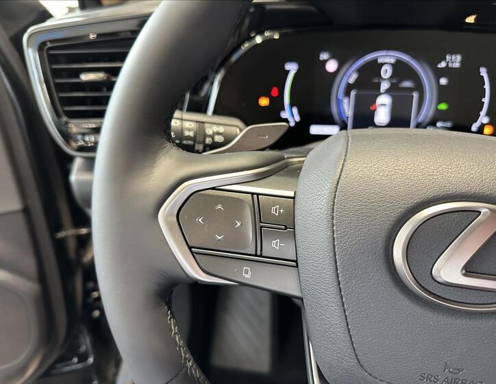 Lexus NX 450h plus 13