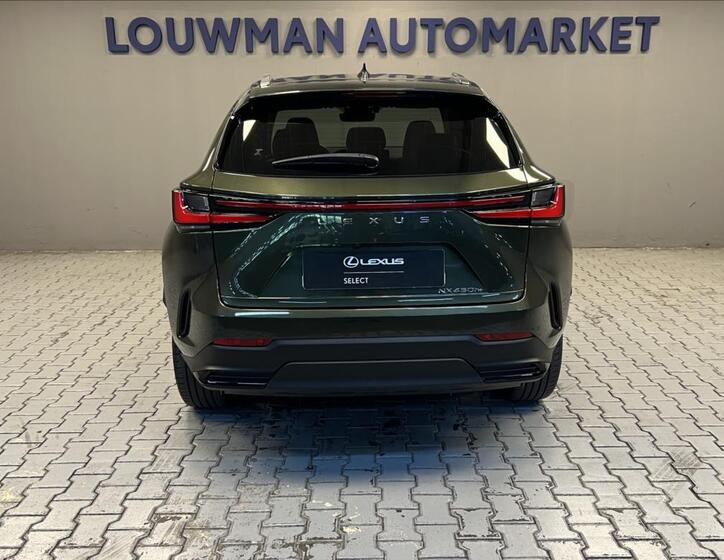 Lexus NX 450h plus 12