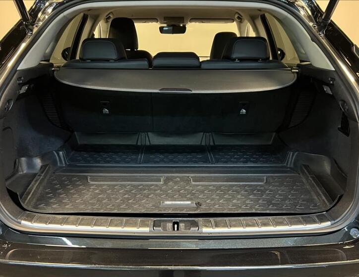 Lexus RX 450h 9
