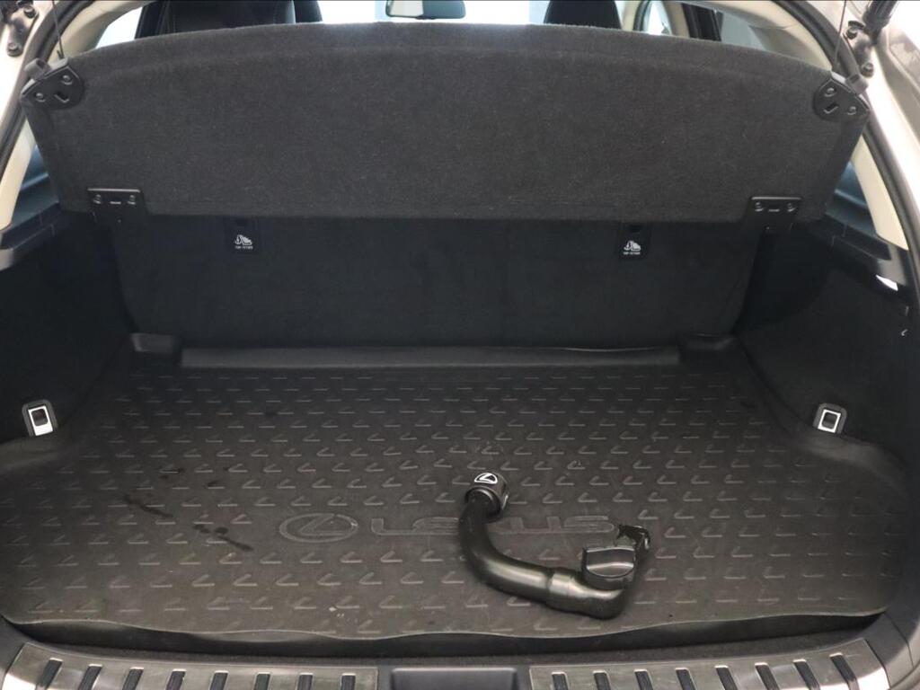 Lexus NX 300h 10