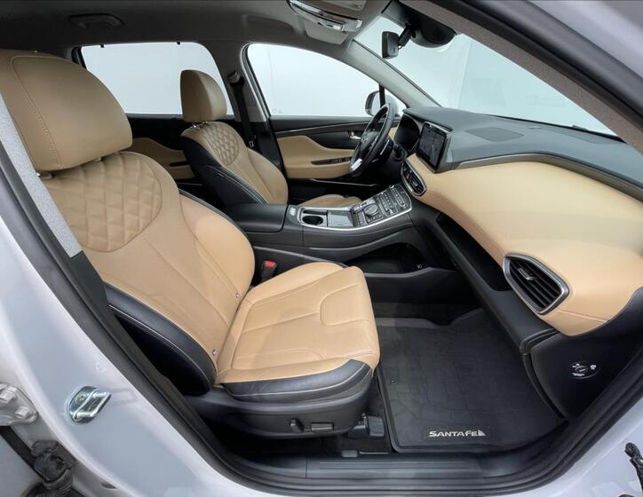 Hyundai Santa Fe 17
