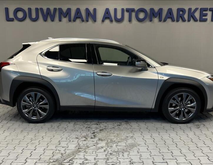 Lexus UX 300h 14
