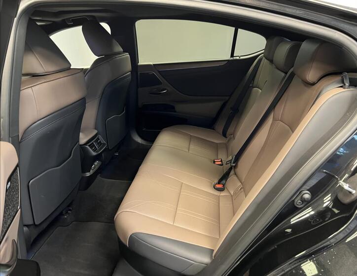 Lexus ES 300h 8