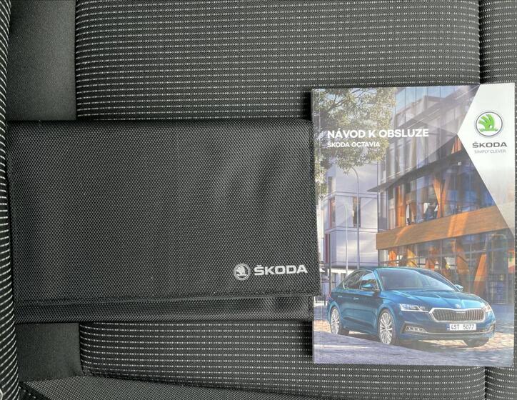Škoda Octavia 19