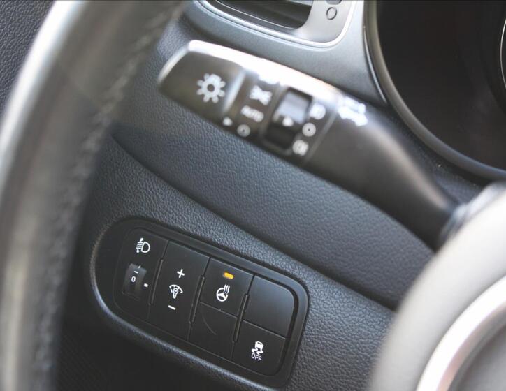 KIA Carens 19