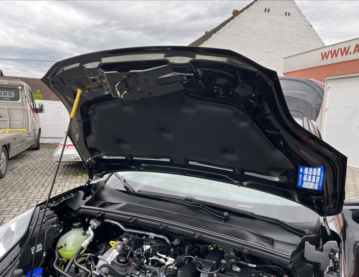Ford Puma 39