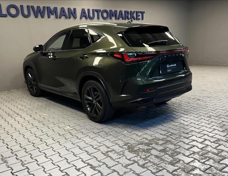Lexus NX 450h plus 13