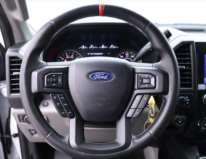 Ford F-150 19
