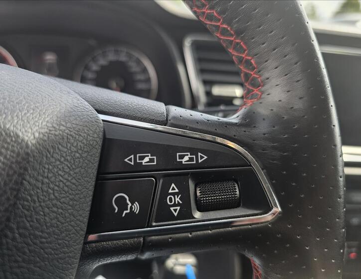 Seat Leon 17