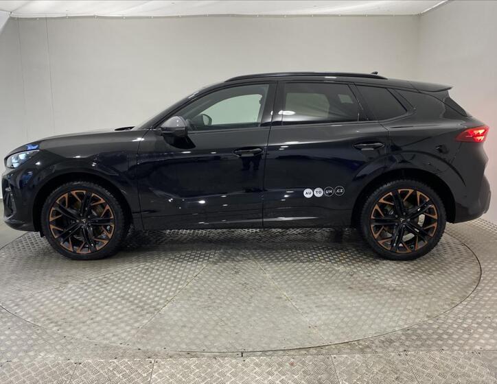 Cupra Terramar 3