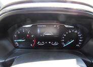 Ford Fiesta 13