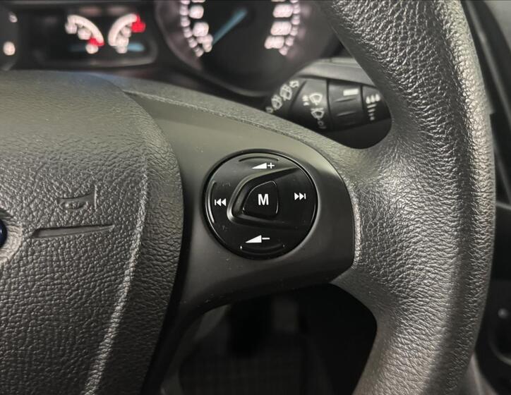 Ford Tourneo Connect 11