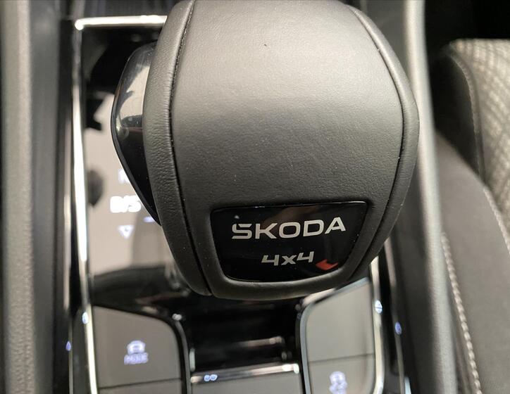 Škoda Karoq 17