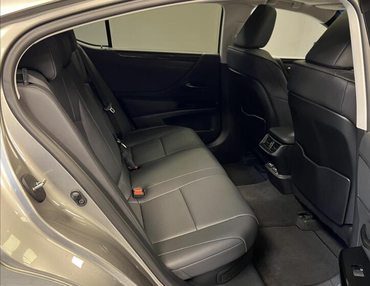 Lexus ES 300h 10