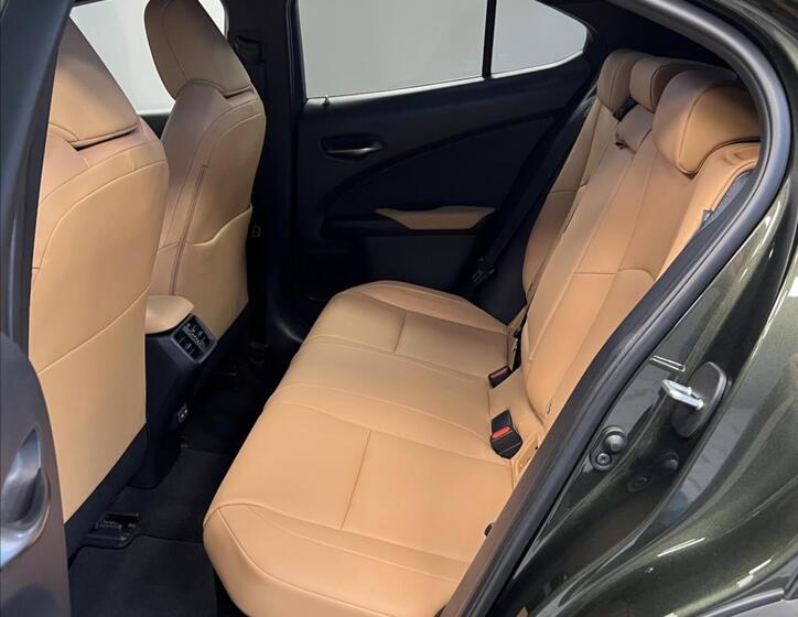 Lexus UX 300h 8