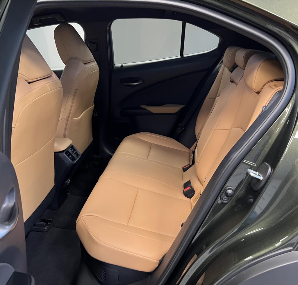 Lexus UX 300h