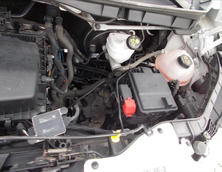 Ford Transit 31