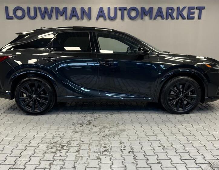 Lexus RX 500h 14