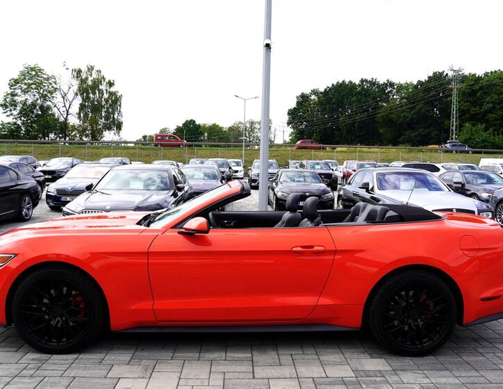 Ford Mustang 15