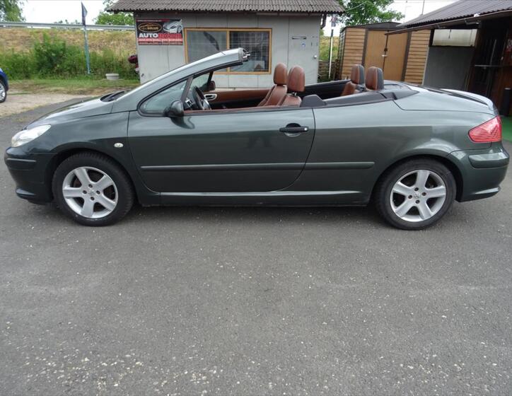 Peugeot 307 24