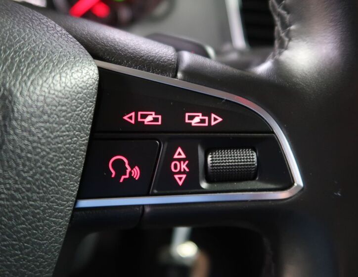 Seat Alhambra 26