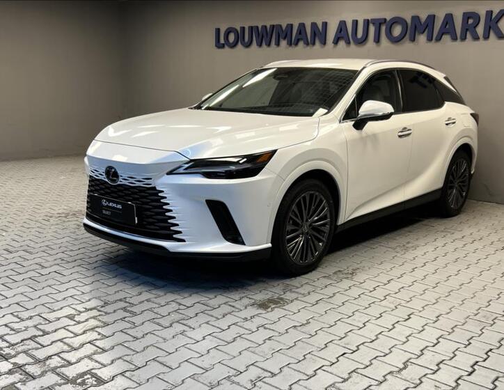 Lexus RX 350h 13