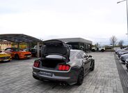 Ford Mustang 13