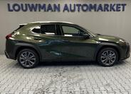 Lexus UX 300h 14