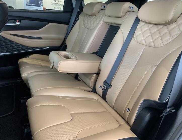 Hyundai Santa Fe 19