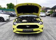 Ford Mustang 9