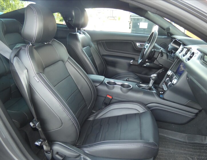 Ford Mustang 14