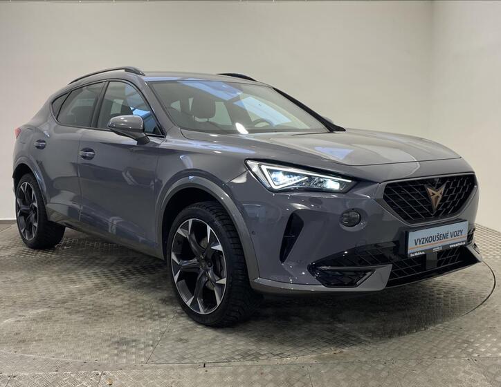 Cupra Formentor 22