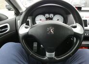 Peugeot 307 24