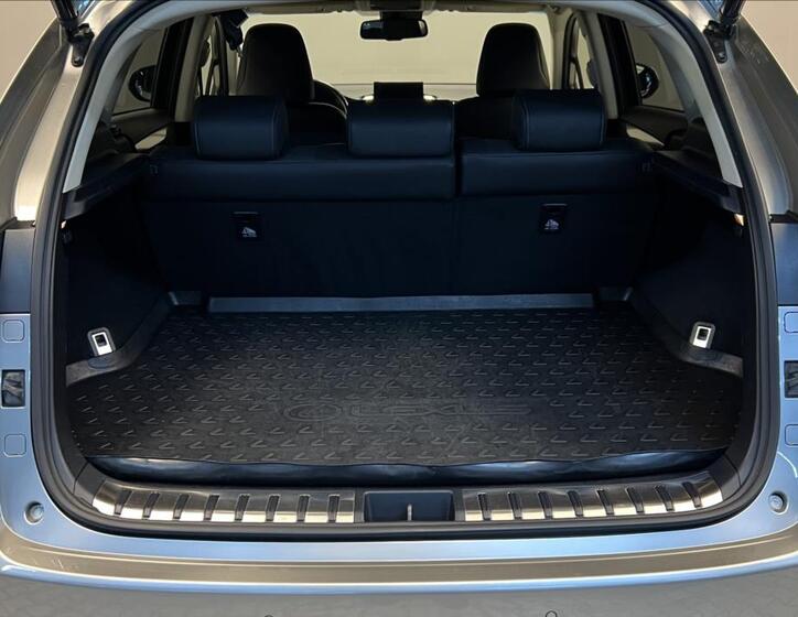 Lexus NX 300h 9