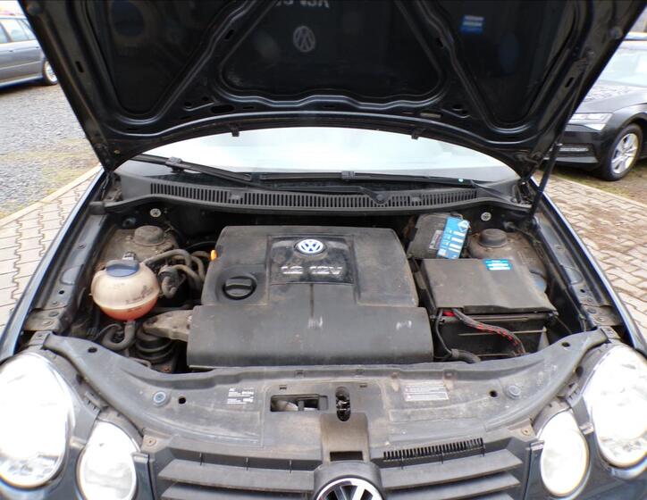Volkswagen Polo 19