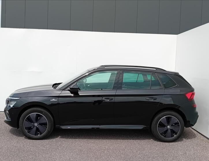 Škoda Kamiq 10