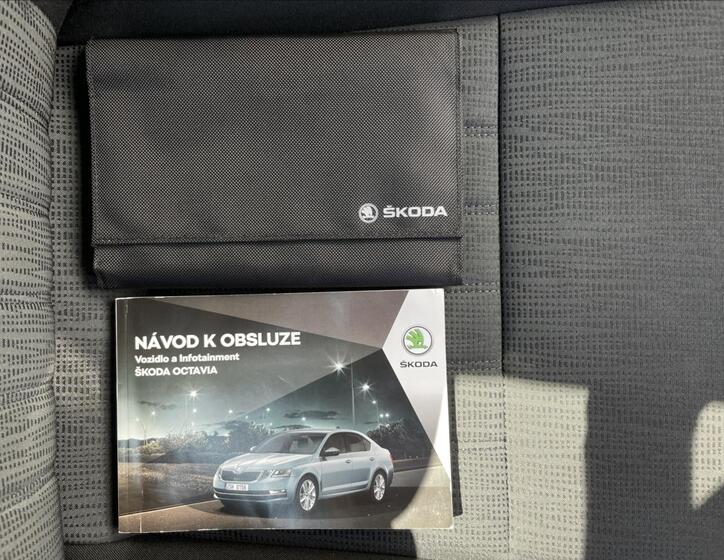 Škoda Octavia 19